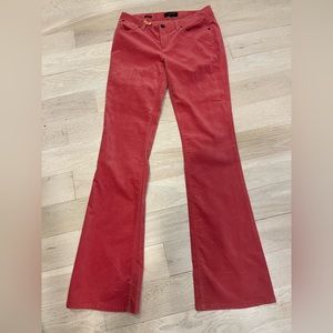 Pink, velvet boot cut, flared pants